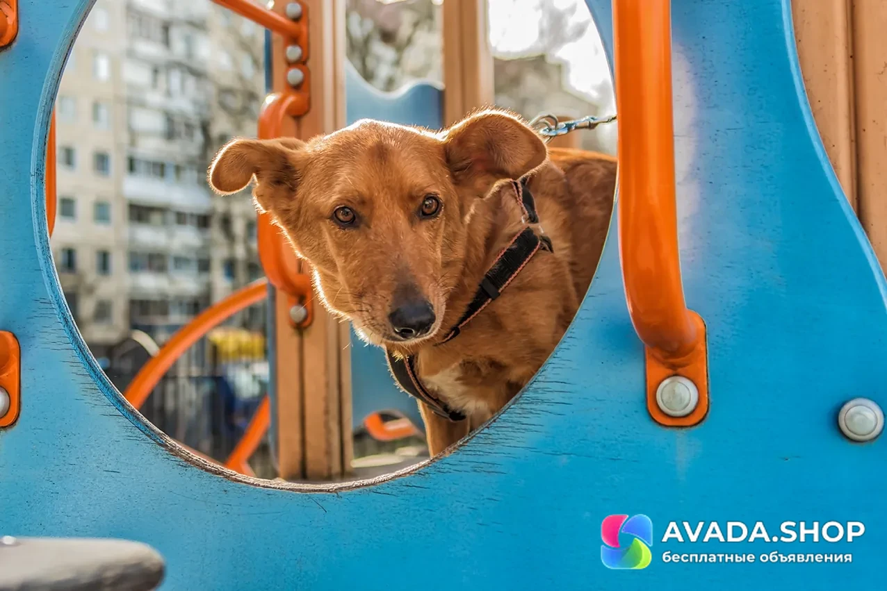 Фото 4