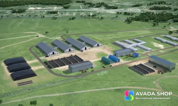 Молочно-товарная ферма на 1200 голов дойного стада