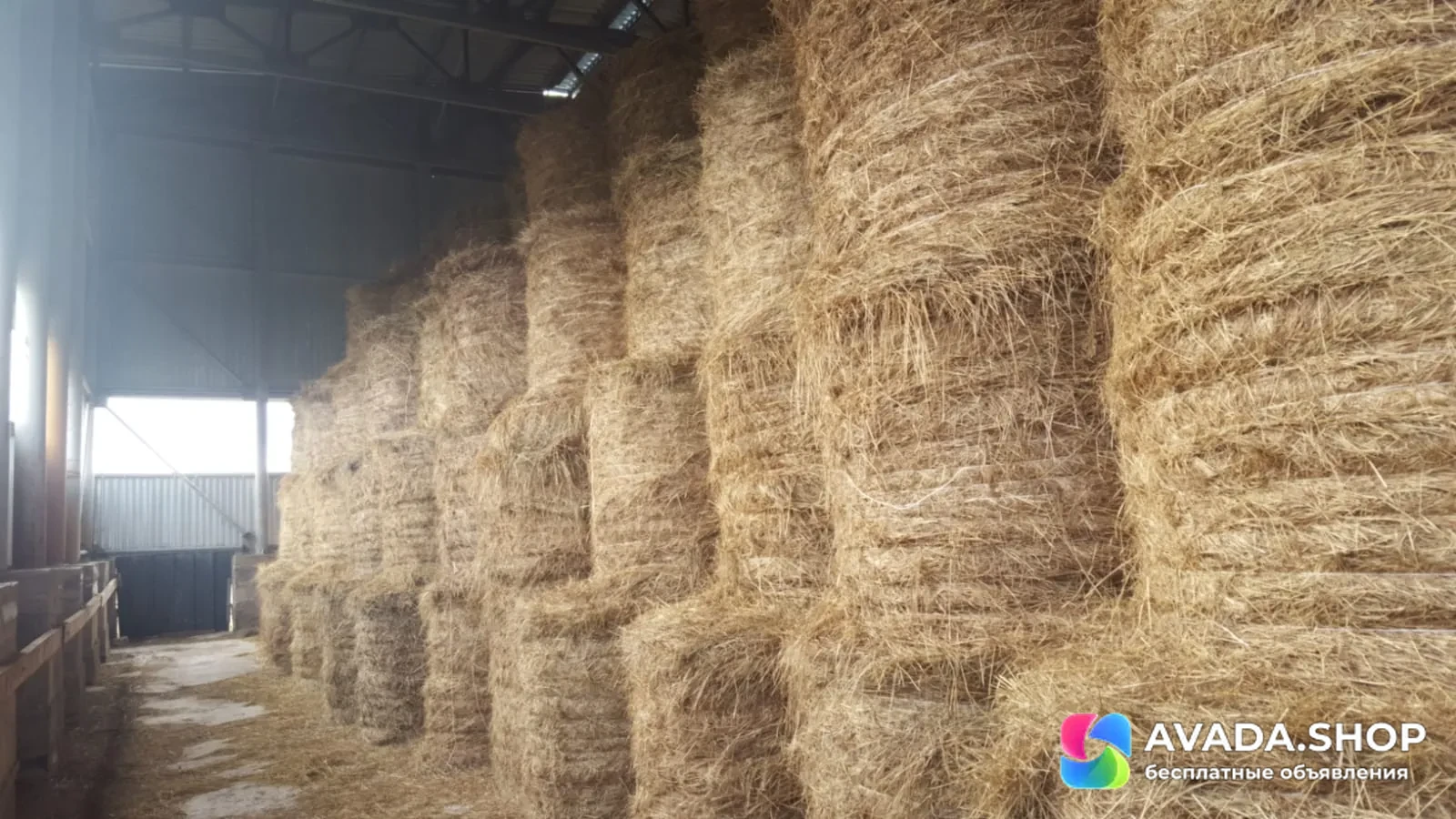 Продам сено в рулонах