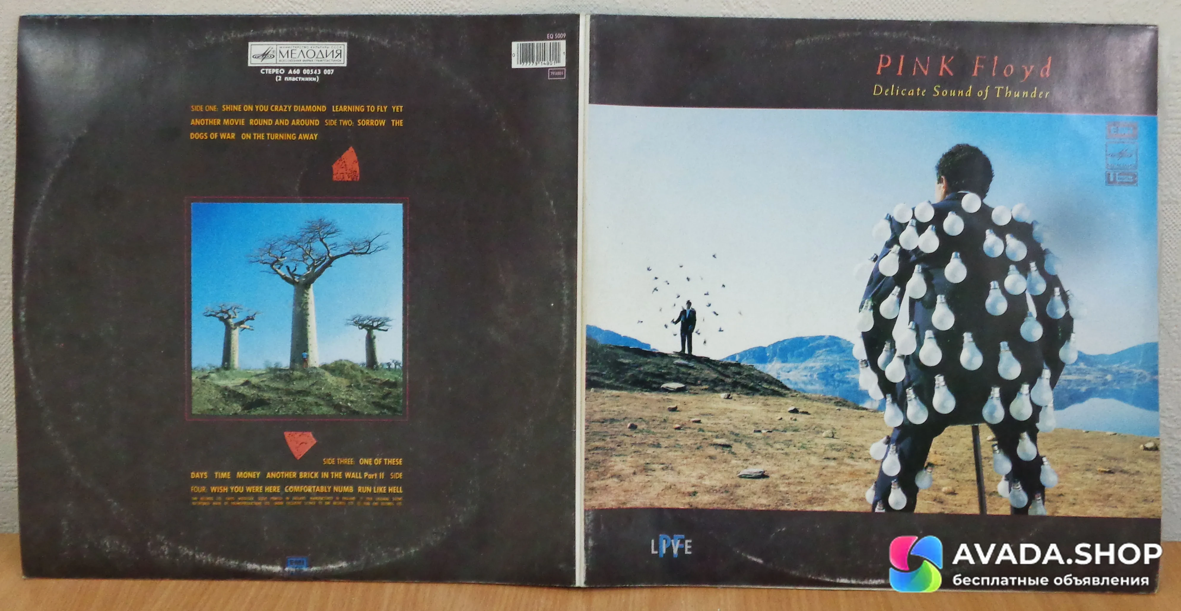 Pink Floyd Delicate Sound Of Thunder 1989 2LP