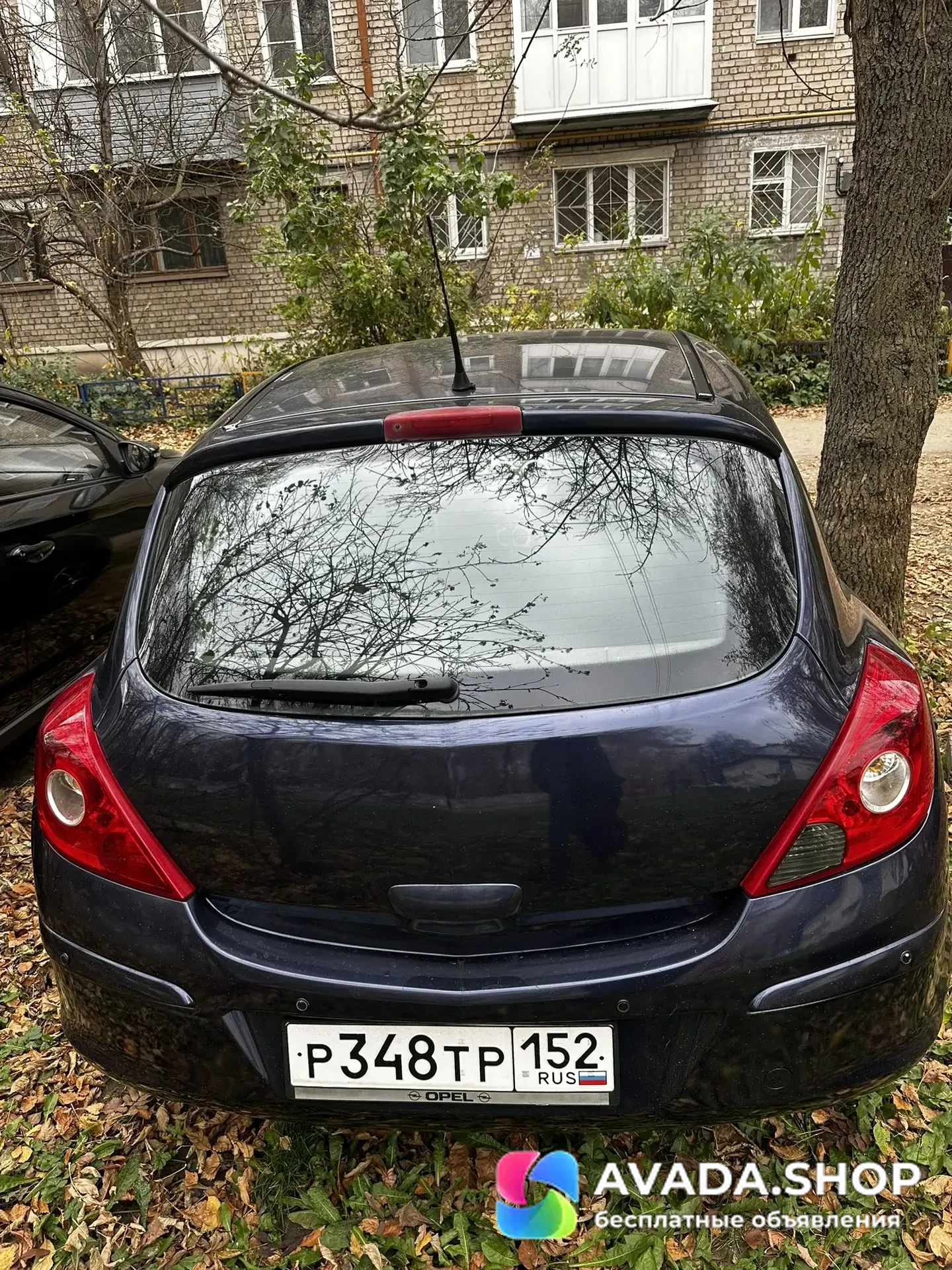 Фото 3
